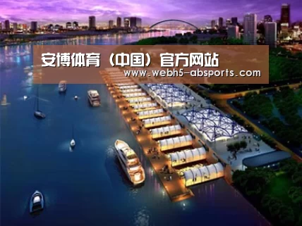 案例展示八