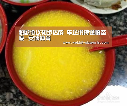 脱欧协议初步达成 车企仍持谨慎态度-安博体育(图3) 安博体育